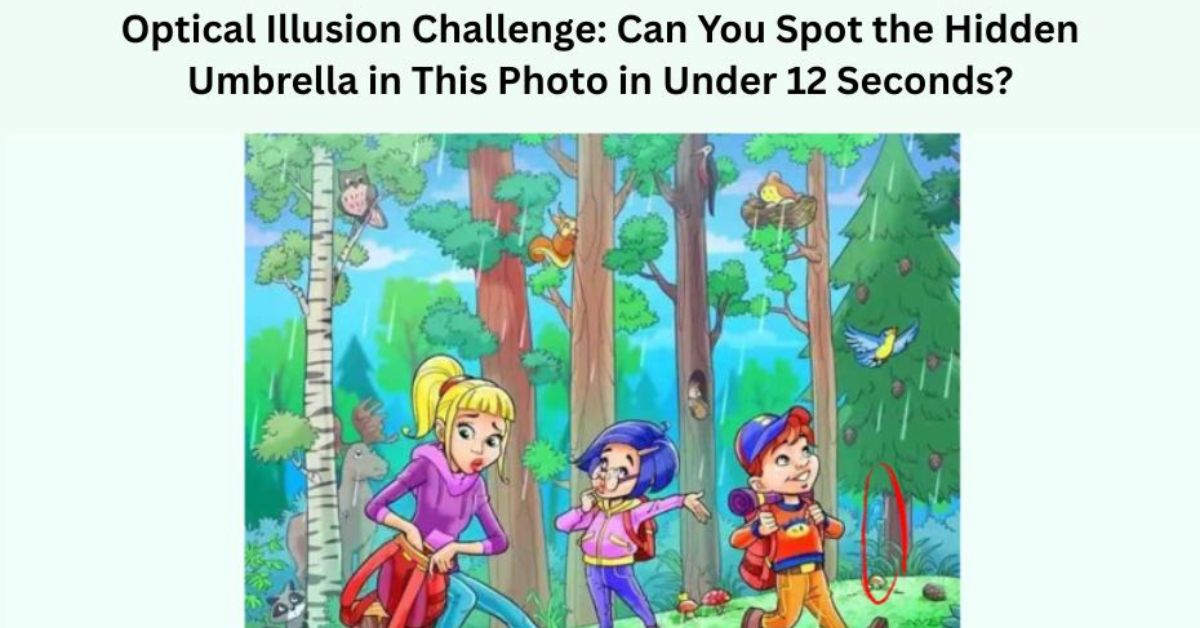 Optical Illusion Challenge: Can You Spot the Hidden Umbrella in This Photo in Under 12 Seconds?