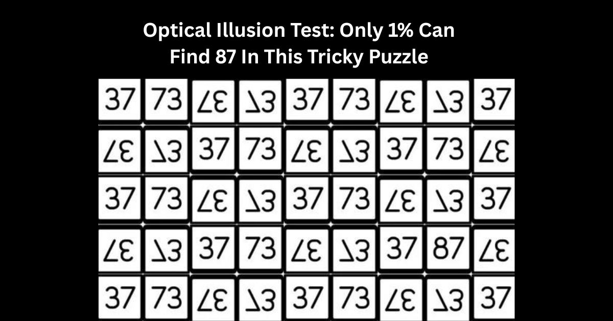 Optical Illusion Test: Only 1% Can Find 87 In This Tricky Puzzle