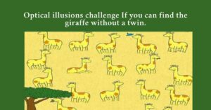 Optical illusions challenge If you can find the giraffe without a twin.