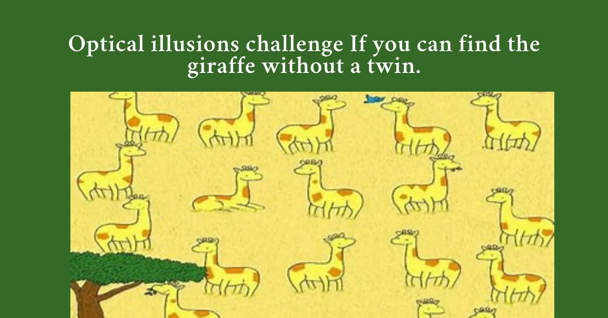 Optical illusions challenge If you can find the giraffe without a twin.