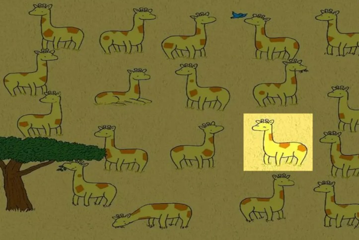 If you can find the giraffe without a twin, your observation skills are next-level !